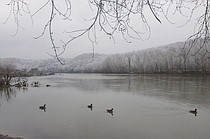 photo thumbnail