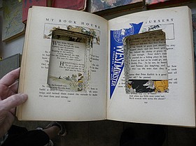 Photo detail