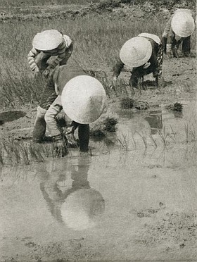 Photo detail