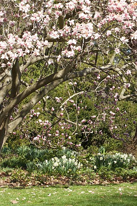 Photo detail