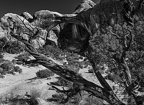 Photo detail