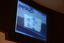 photo thumbnail