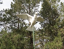 photo thumbnail