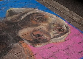 Photo detail