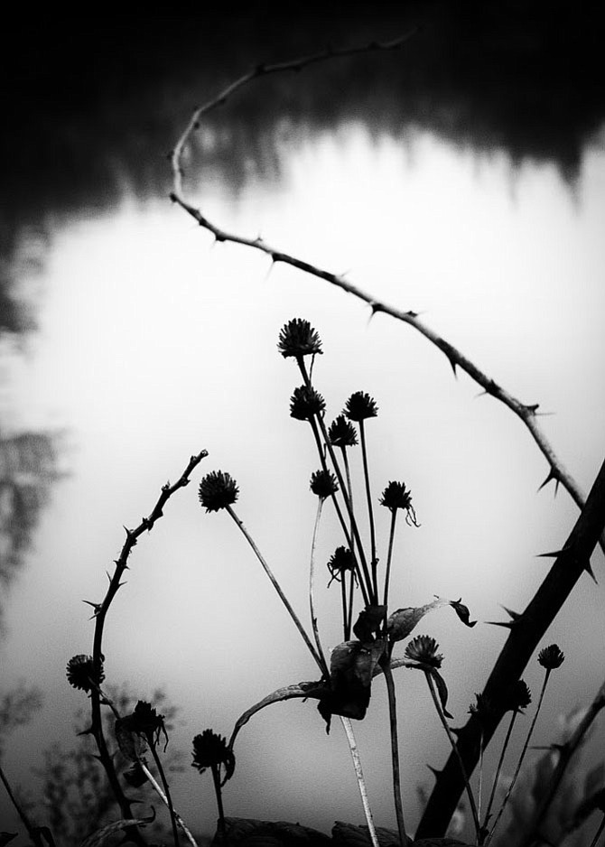 Photo detail