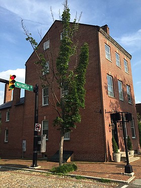 Photo detail