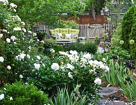 Photo detail