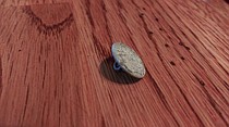 photo thumbnail
