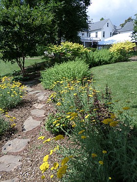 Photo detail