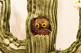 Photo detail