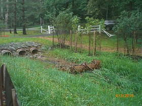 Photo detail
