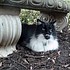 photo thumbnail