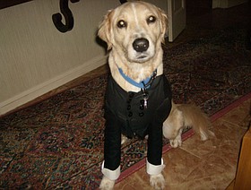 Photo detail