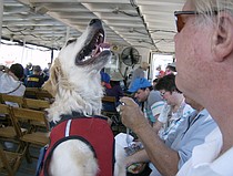 photo thumbnail