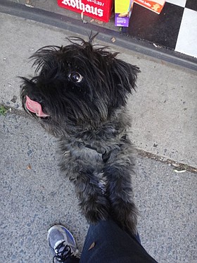 Photo detail