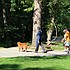 photo thumbnail