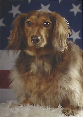 Photo detail