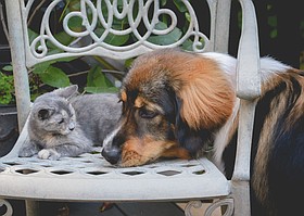 Photo detail