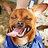 photo thumbnail