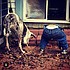 photo thumbnail