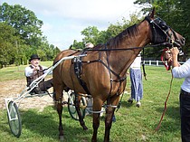 photo thumbnail