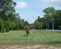 photo thumbnail