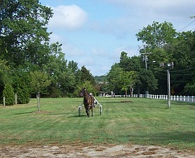 Photo detail