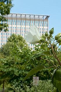 photo thumbnail