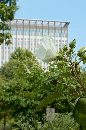 Photo detail