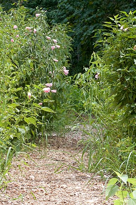 Photo detail