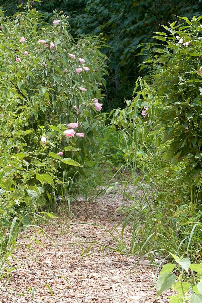 Photo detail