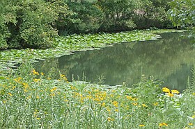 Photo detail