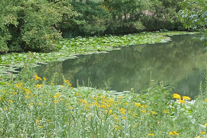 Photo detail