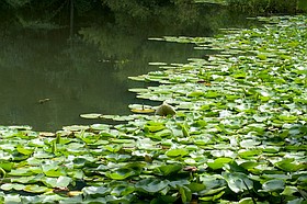 Photo detail