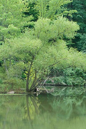 Photo detail