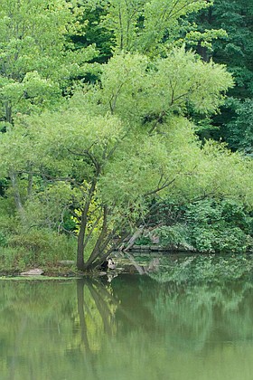 Photo detail