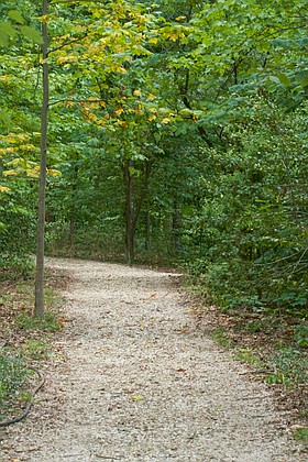 Photo detail