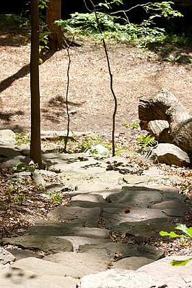 Photo detail