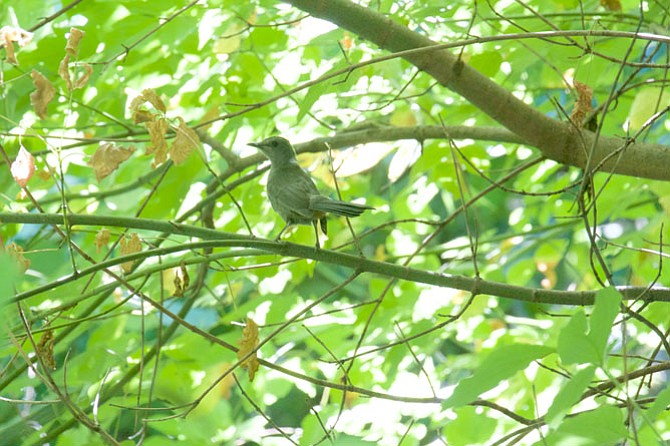 Photo detail