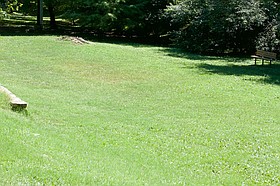 Photo detail