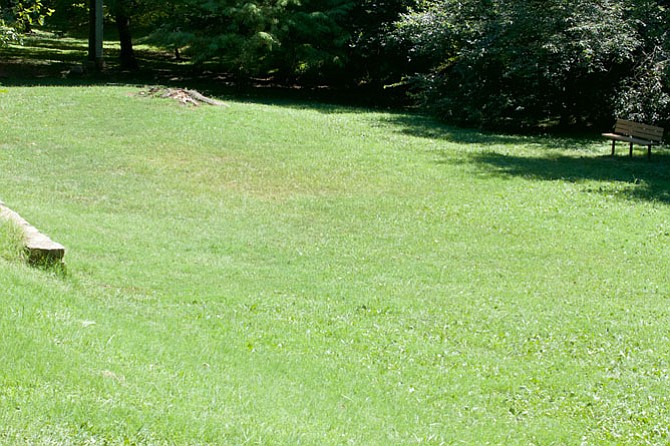 Photo detail