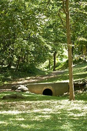 Photo detail