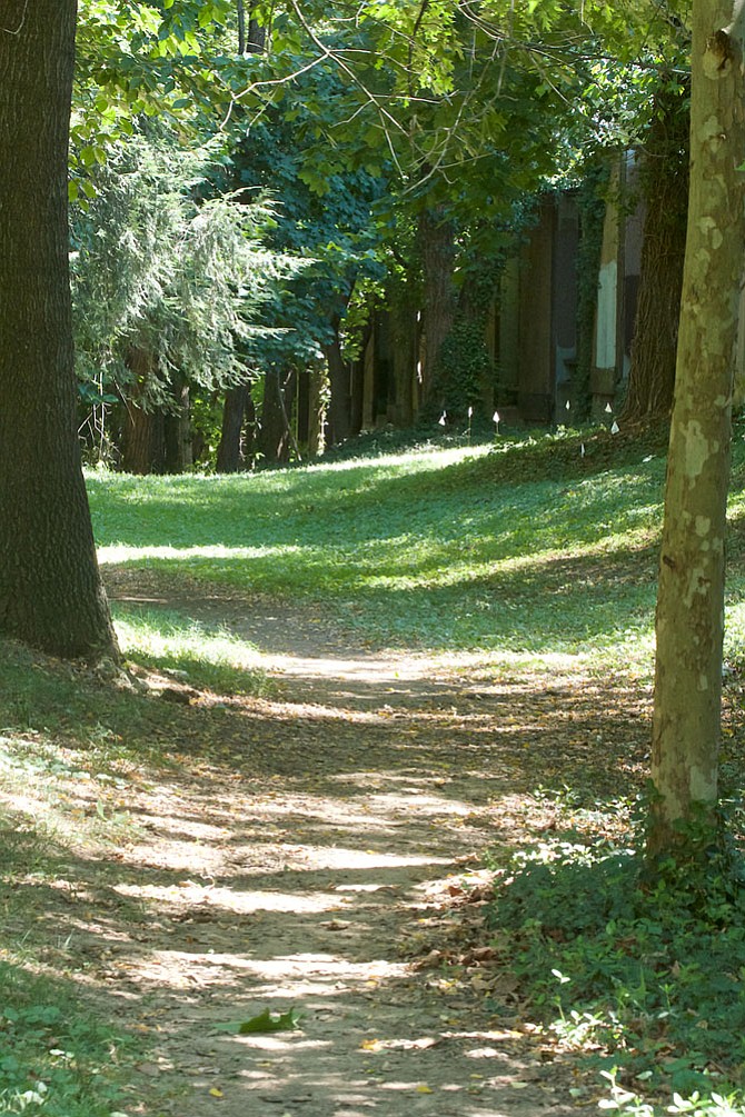 Photo detail