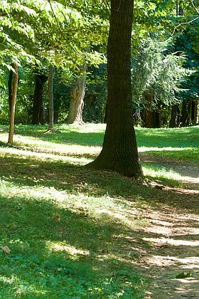 Photo detail