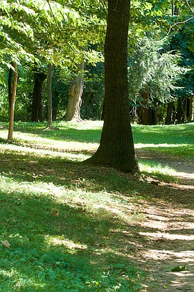Photo detail