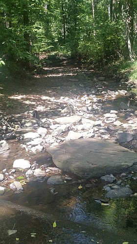 Photo detail