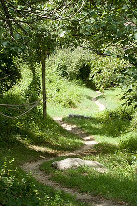 Photo detail