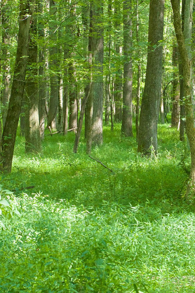 Photo detail