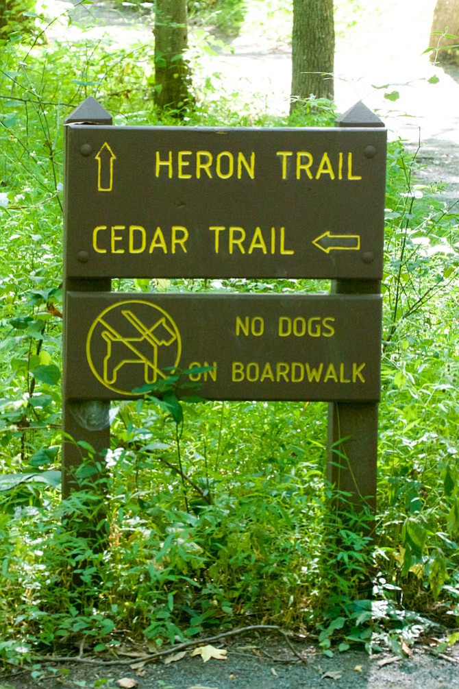 Photo detail