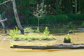 Photo detail